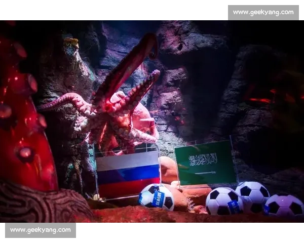 神奇预言者章鱼保罗回顾：揭开2010世界杯预测背后的奥秘与传奇 - 副本